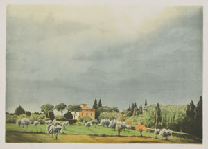 Immagine del Lotto