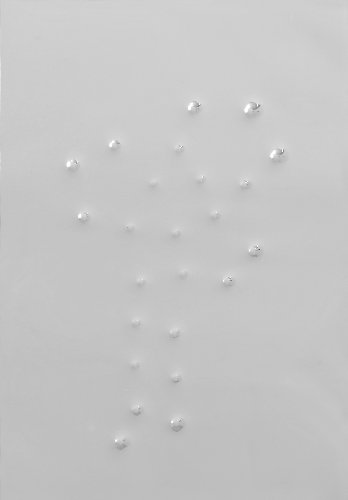 Immagine del Lotto