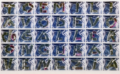 Immagine del Lotto